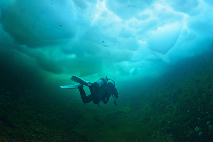 PADI Ice Diver
