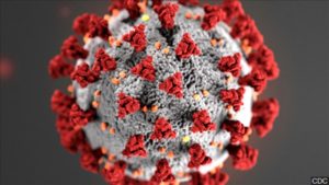 Read more about the article COVID-19 Precautions